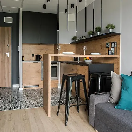 Wola Loft شقة وارسو