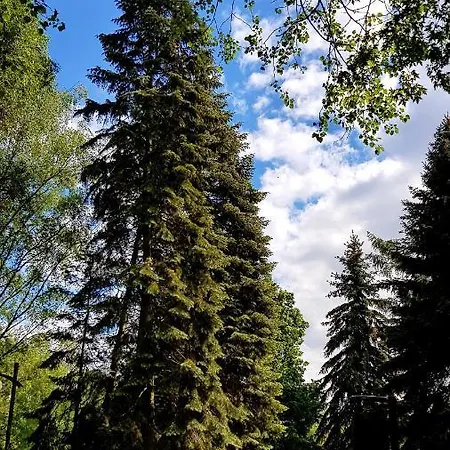 Apartment Wola Loft *