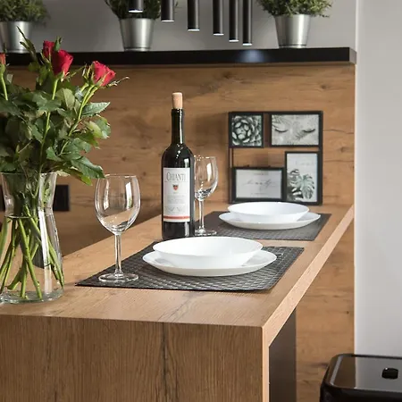 Wola Loft Apartment